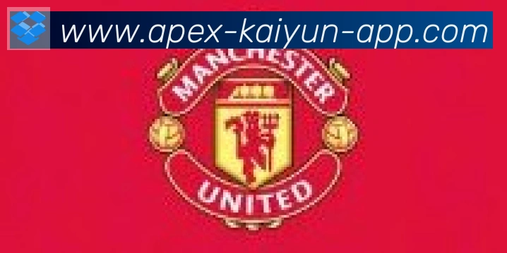 开云体育合作伙伴